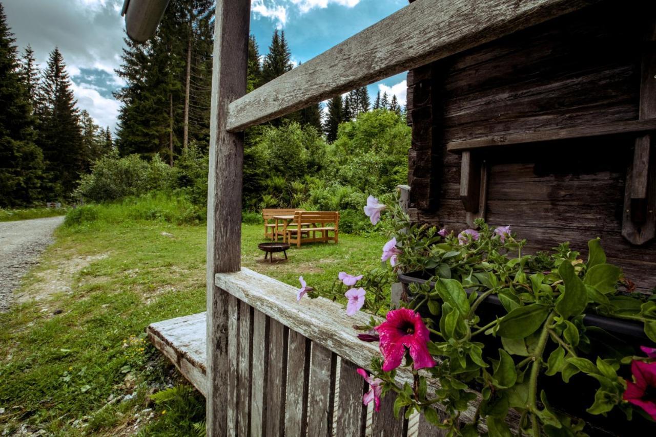 Villa Almhuette Hebalm Pack Esterno foto